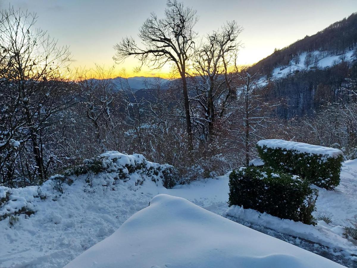 Casa Di In Capriasca Holiday home *