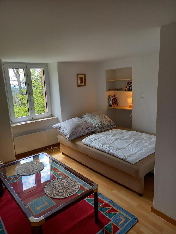 Casa Di In Capriasca Holiday home *